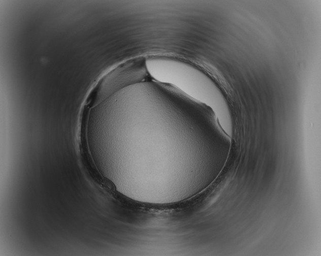 X0000096150484200802151357