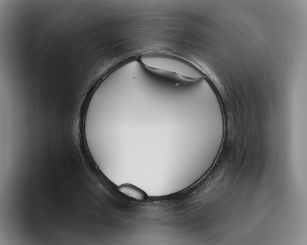 X0000096150485200802151357