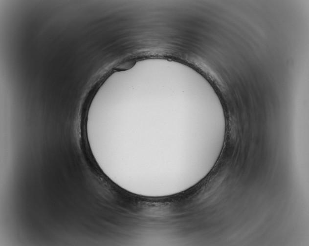 X0000096150486200802151357