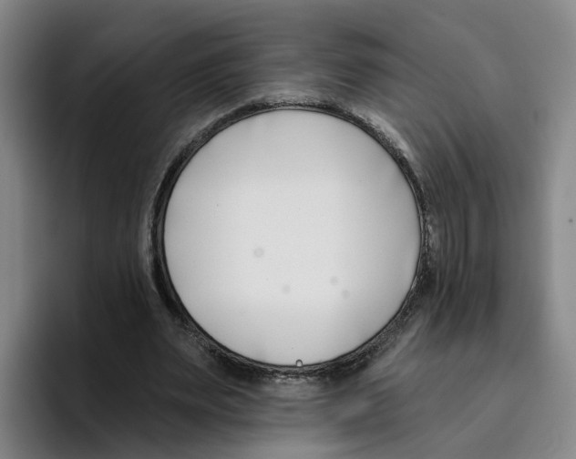 X0000096150487200802151357