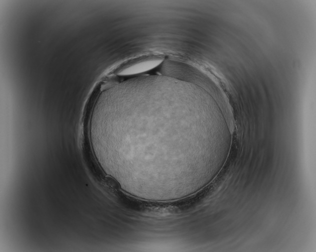 X0000096150488200802151357