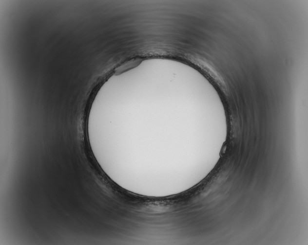 X0000096150489200802151357