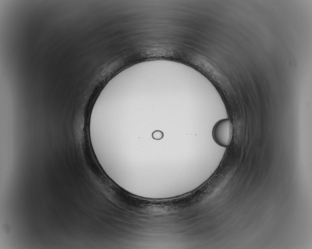 X0000096150490200802151357