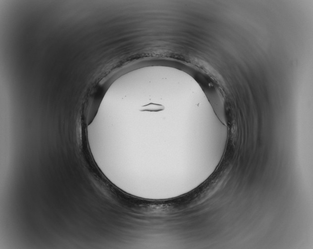 X0000096150493200802151357