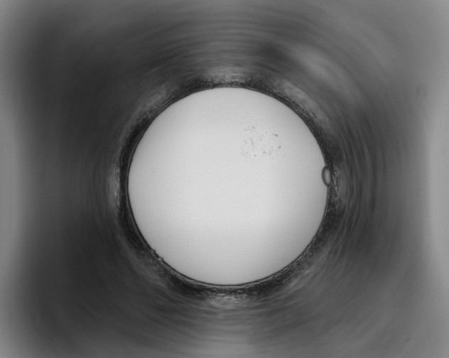 X0000096150494200802151357