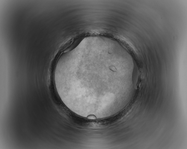 X0000096150496200802151357