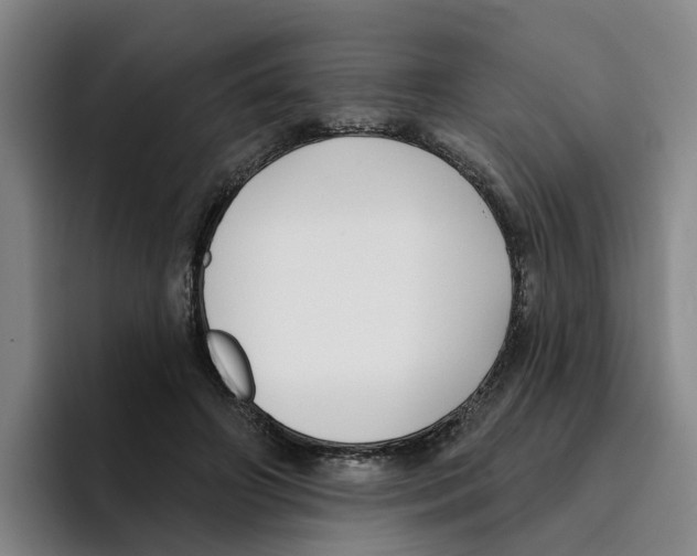 X0000096150498200802151357