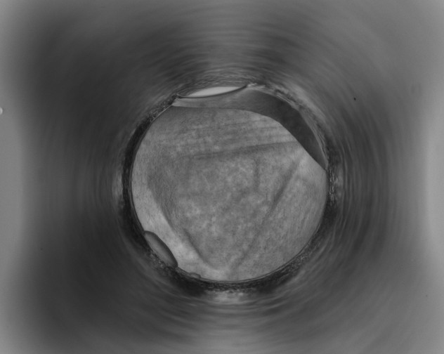 X0000096150500200802151357