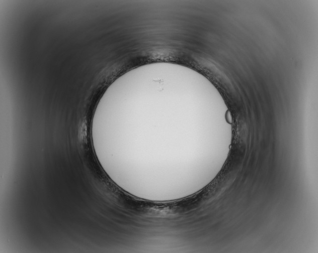 X0000096150502200802151357