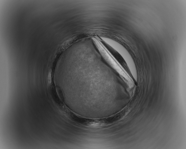 X0000096150504200802151357