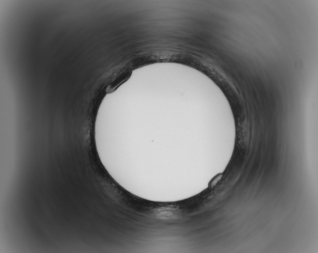 X0000096150505200802151357