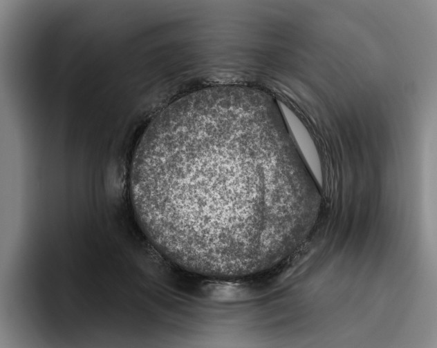 X0000096150507200802151357