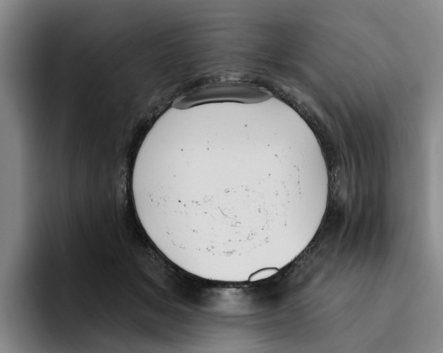 X0000096150509200802151357