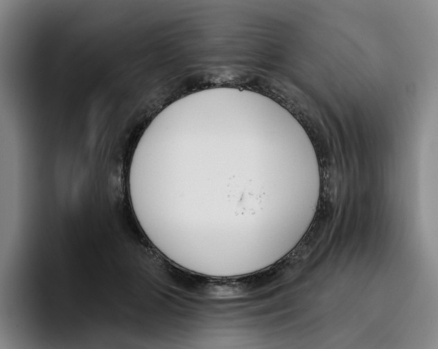 X0000096150510200802151357