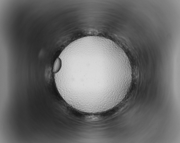 X0000096150511200802151357