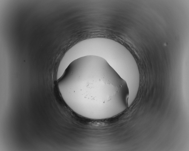 X0000096150512200802151357