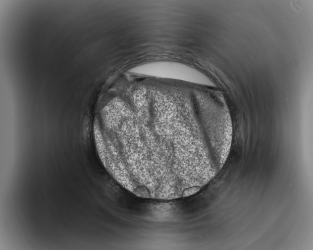 X0000096150513200802151357