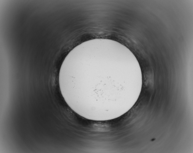 X0000096150515200802151357