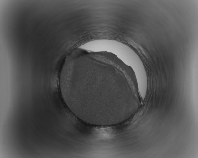 X0000096150517200802151357