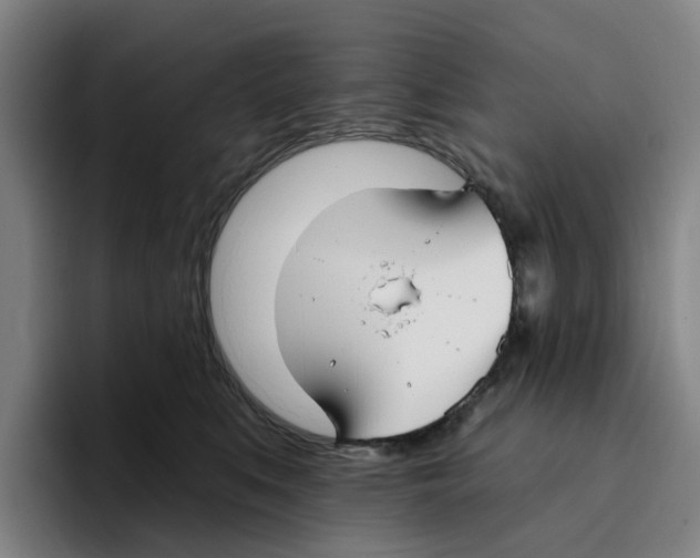 X0000096150519200802151357