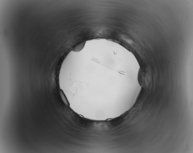 X0000096150520200802151357