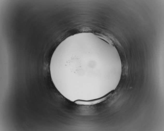 X0000096150521200802151357