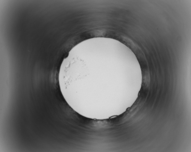 X0000096150525200802151357