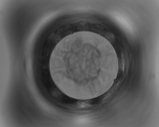 X0000096150526200802151357