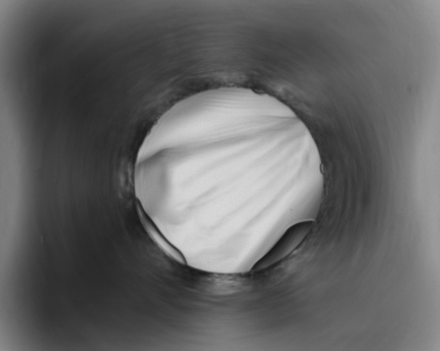 X0000096150528200802151357