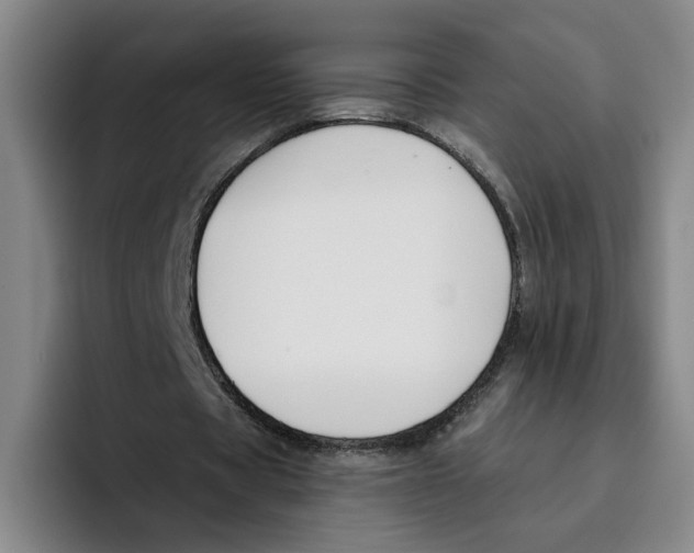 X0000096150529200802151356