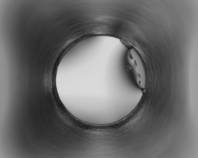 X0000096150530200802151356