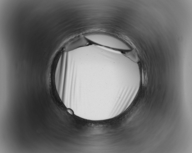 X0000096150531200802151356