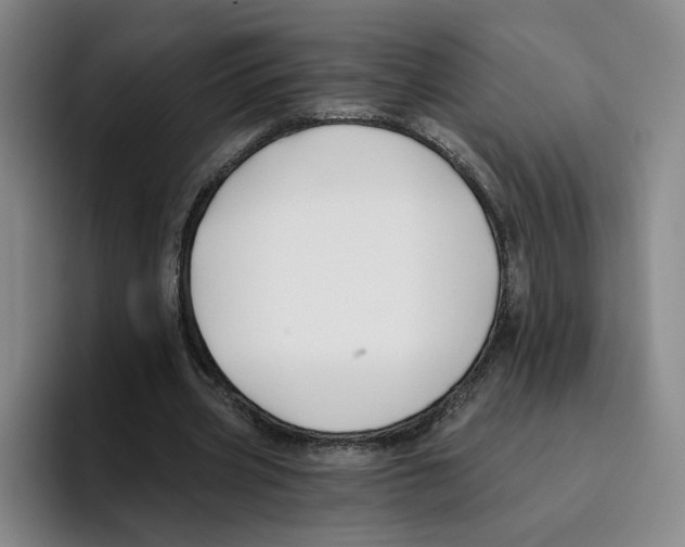 X0000096150533200802151356