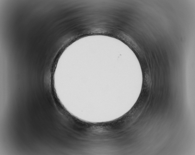 X0000096150534200802151356