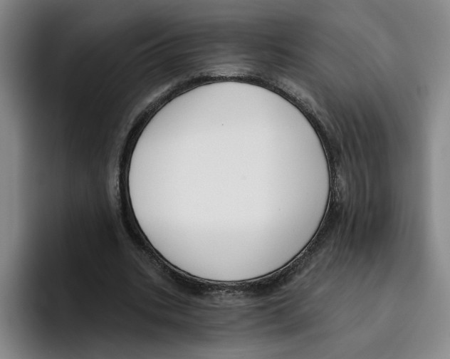 X0000096150535200802151356