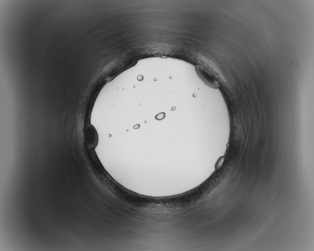 X0000096150538200802151356