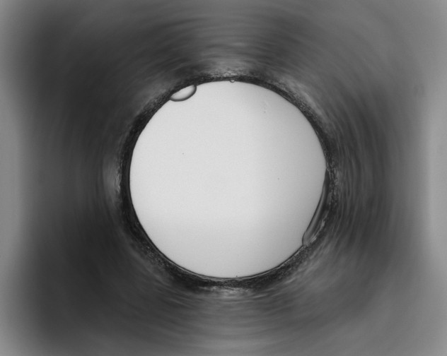 X0000096150539200802151356