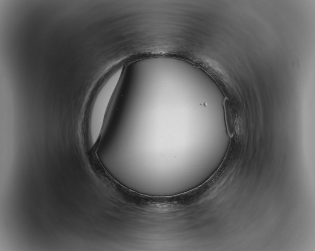 X0000096150540200802151356