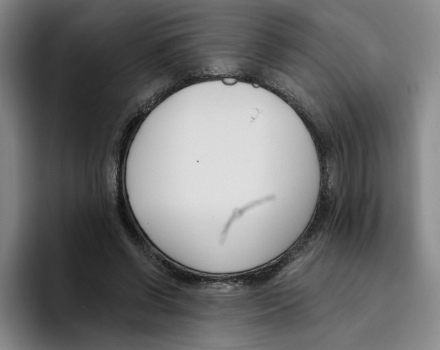 X0000096150542200802151356