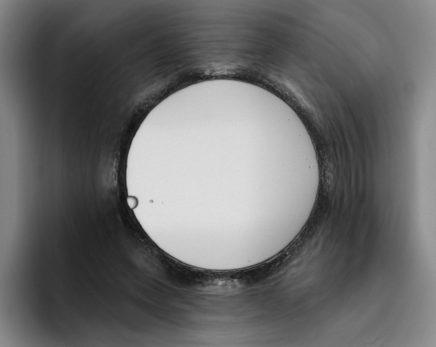 X0000096150543200802151356