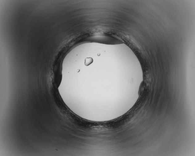 X0000096150544200802151356