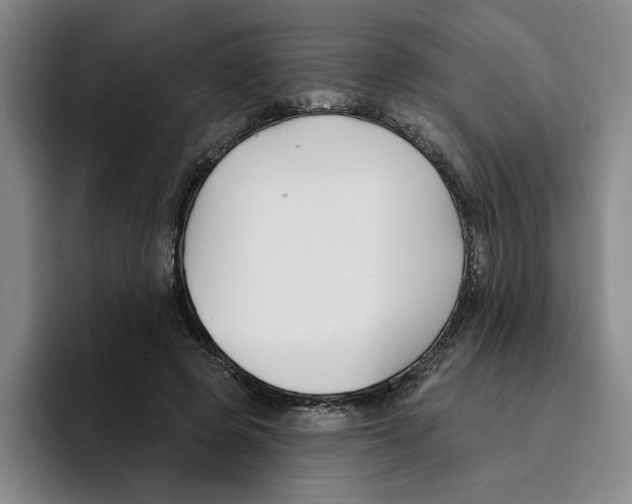 X0000096150545200802151356