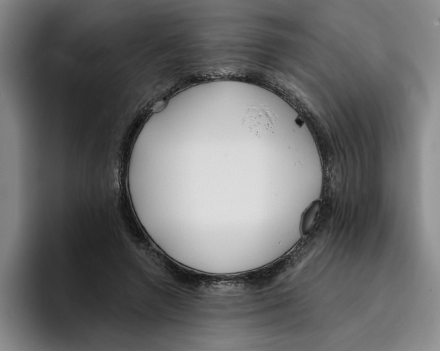 X0000096150546200802151356