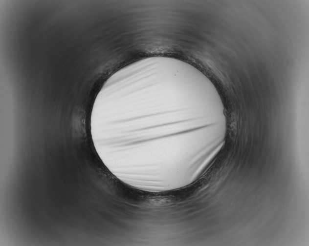 X0000096150547200802151356