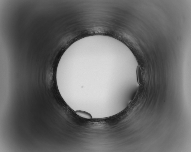 X0000096150548200802151356