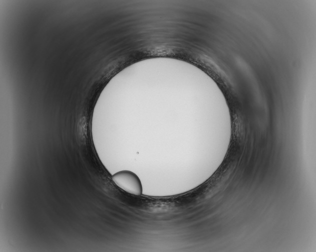 X0000096150549200802151356