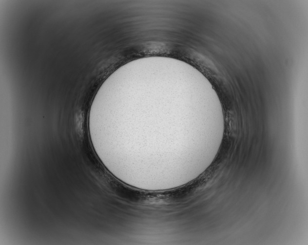 X0000096150550200802151356