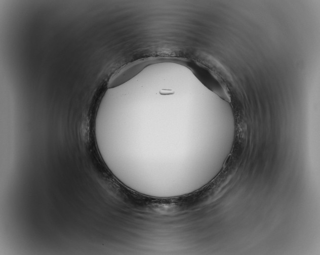 X0000096150552200802151356