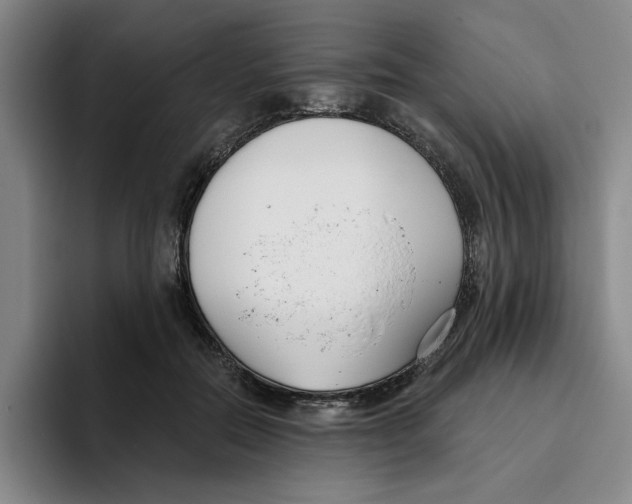 X0000096150554200802151356