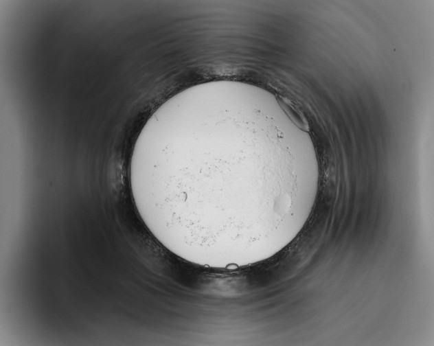 X0000096150555200802151356